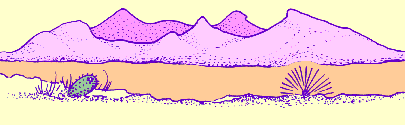 Desert Scene