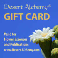 Desert Alchemy Gift Card