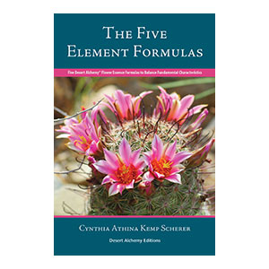The Five Element Formulas book cover