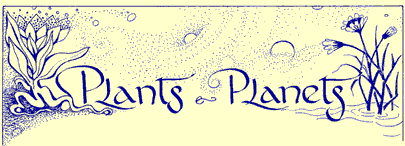 Plants & Planets